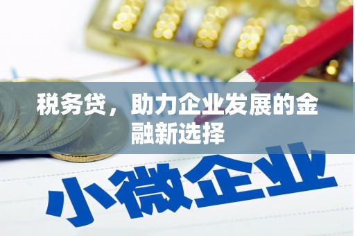 大城税务贷，助力企业发展的金融新选择