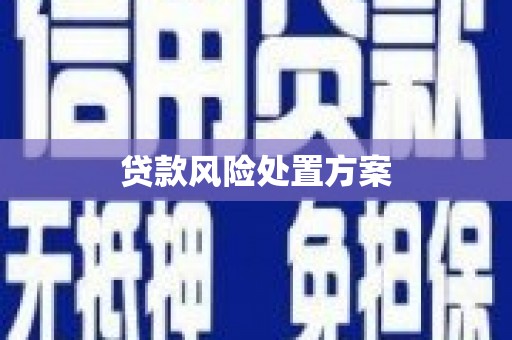 大城贷款风险处置方案