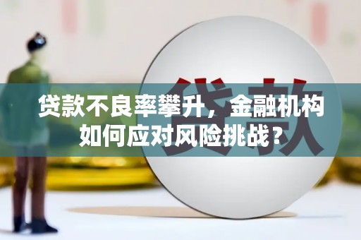 大城贷款不良率攀升，金融机构如何应对风险挑战？