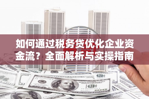 大城如何通过税务贷优化企业资金流？全面解析与实操指南