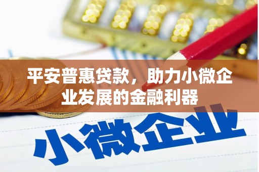 大城平安普惠贷款，助力小微企业发展的金融利器