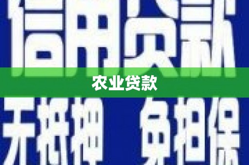 大城农业贷款