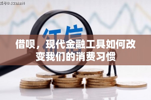 大城借呗，现代金融工具如何改变我们的消费习惯