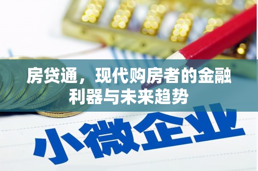 大城房贷通，现代购房者的金融利器与未来趋势