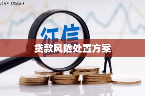大城贷款风险处置方案