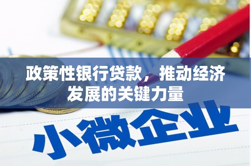 大城政策性银行贷款，推动经济发展的关键力量
