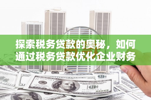 大城探索税务贷款的奥秘，如何通过税务贷款优化企业财务