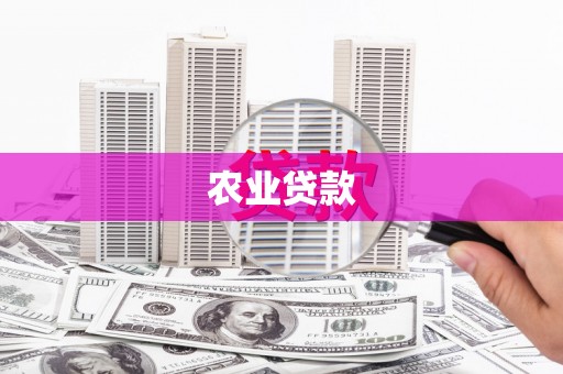 大城农业贷款