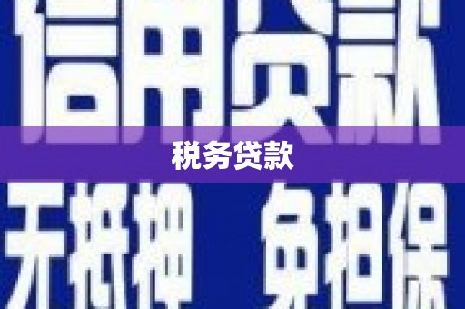 大城税务贷款