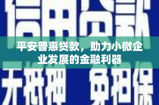 大城平安普惠贷款，助力小微企业发展的金融利器