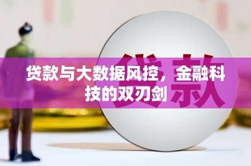 大城贷款与大数据风控，金融科技的双刃剑