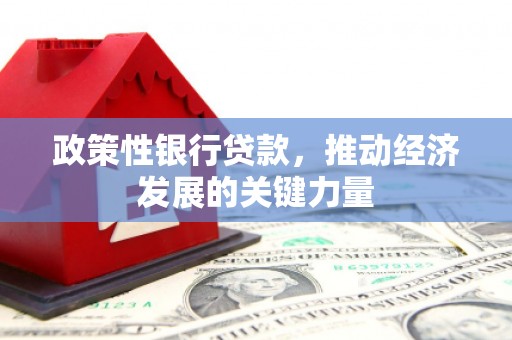 大城政策性银行贷款，推动经济发展的关键力量