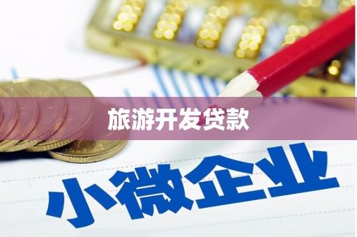 大城旅游开发贷款