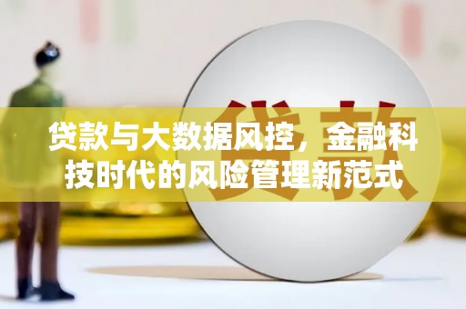 大城贷款与大数据风控，金融科技时代的风险管理新范式