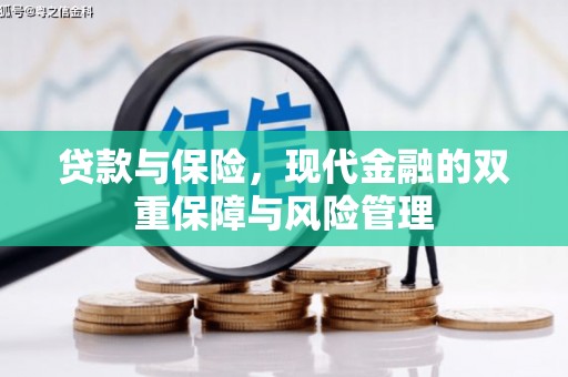 大城贷款与保险，现代金融的双重保障与风险管理