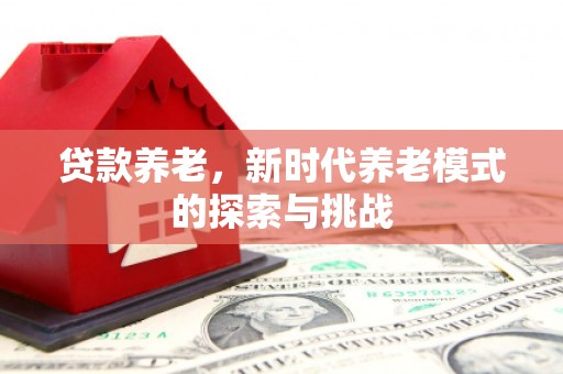 大城贷款养老，新时代养老模式的探索与挑战