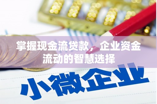 大城掌握现金流贷款，企业资金流动的智慧选择