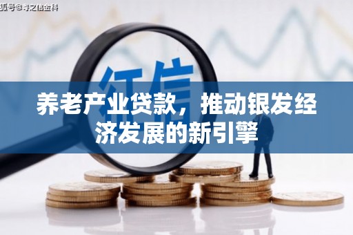 大城养老产业贷款，推动银发经济发展的新引擎