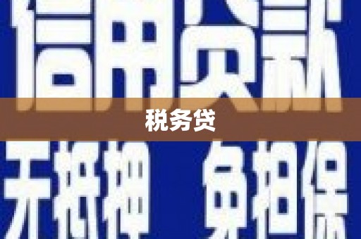 大城税务贷