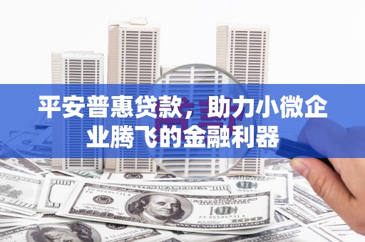 大城平安普惠贷款，助力小微企业腾飞的金融利器