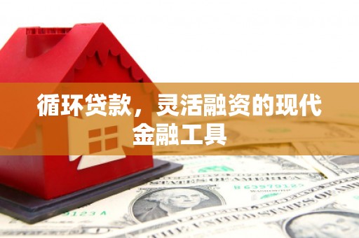 大城循环贷款，灵活融资的现代金融工具