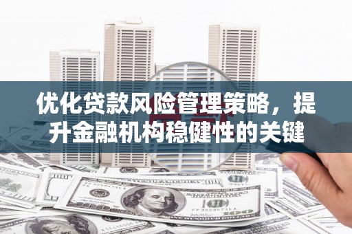 大城优化贷款风险管理策略，提升金融机构稳健性的关键