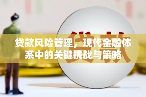 大城贷款风险管理，现代金融体系中的关键挑战与策略