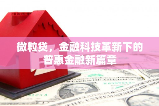 大城微粒贷，金融科技革新下的普惠金融新篇章