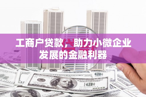 大城工商户贷款，助力小微企业发展的金融利器
