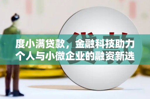 大城度小满贷款，金融科技助力个人与小微企业的融资新选择