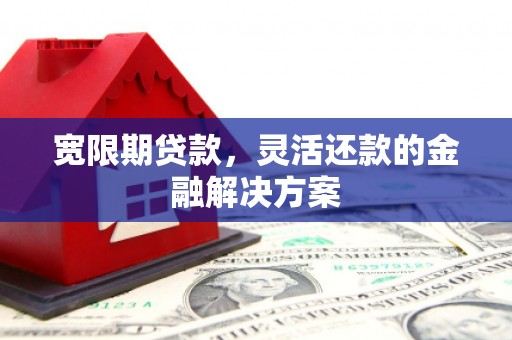 大城宽限期贷款，灵活还款的金融解决方案