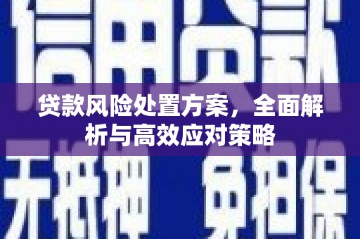 大城贷款风险处置方案，全面解析与高效应对策略