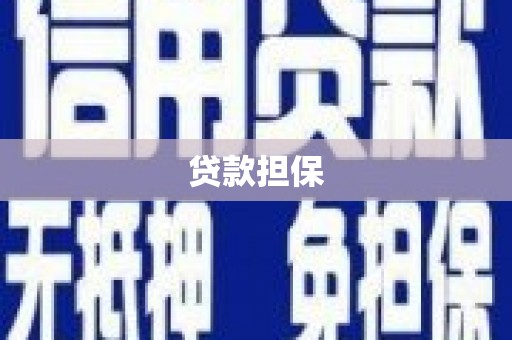 大城贷款担保