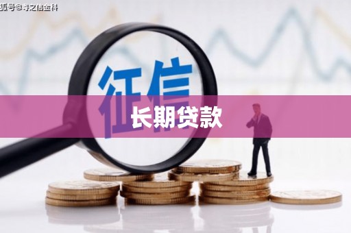 大城长期贷款