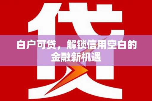 大城白户可贷，解锁信用空白的金融新机遇