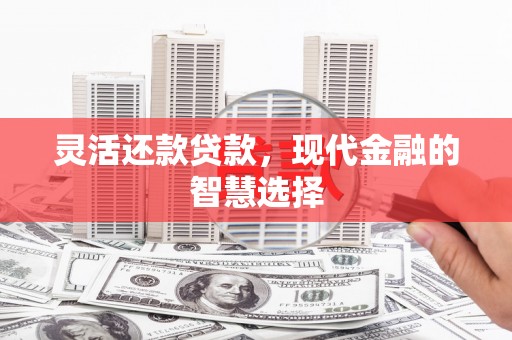 大城灵活还款贷款，现代金融的智慧选择