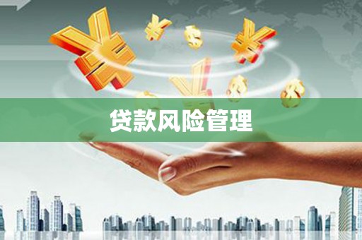 大城贷款风险管理