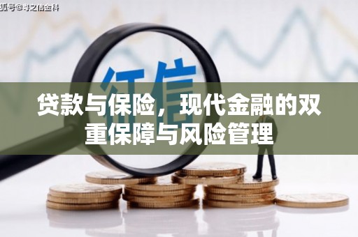 大城贷款与保险，现代金融的双重保障与风险管理