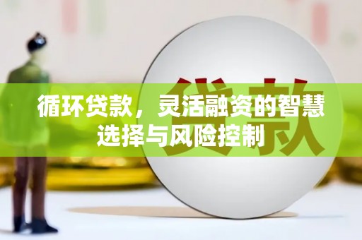 大城循环贷款，灵活融资的智慧选择与风险控制