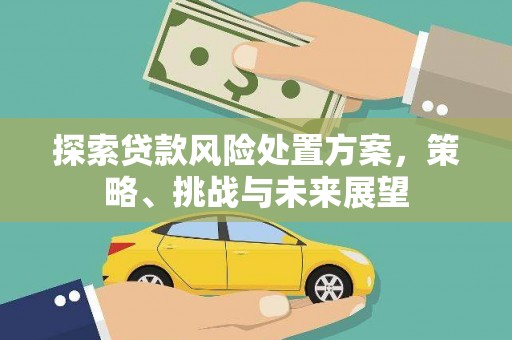 大城探索贷款风险处置方案，策略、挑战与未来展望