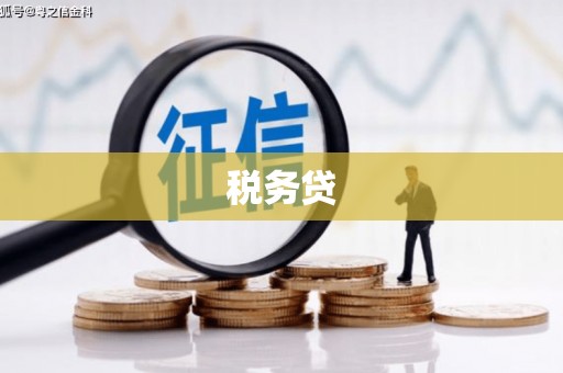 大城税务贷