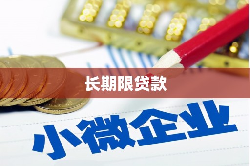 大城长期限贷款
