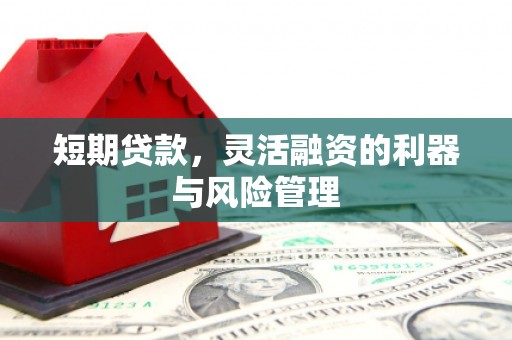 大城短期贷款，灵活融资的利器与风险管理