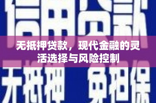 大城无抵押贷款，现代金融的灵活选择与风险控制