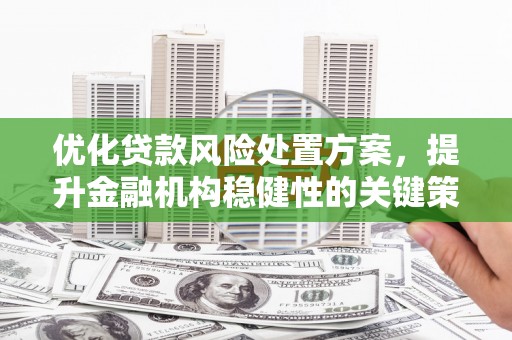 大城优化贷款风险处置方案，提升金融机构稳健性的关键策略