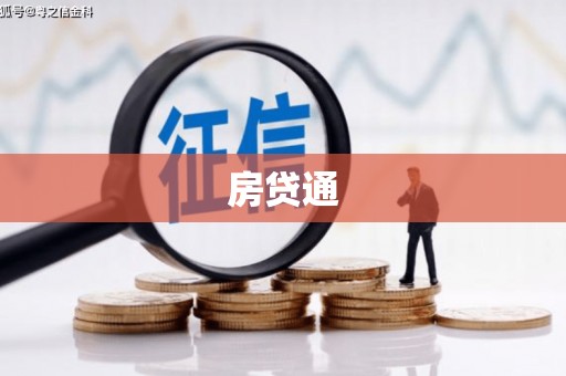 大城房贷通