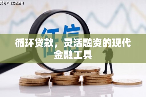 大城循环贷款，灵活融资的现代金融工具