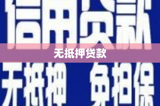 大城无抵押贷款