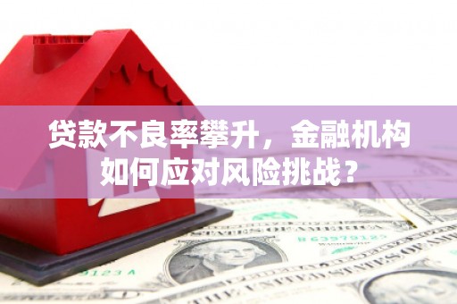 大城贷款不良率攀升，金融机构如何应对风险挑战？