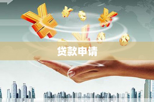大城贷款申请